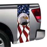 American Flag Bald Eagle