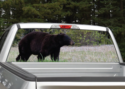 Black Bear Walking Rear Window Decal