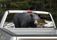 Black Bear Rear Window Graphic