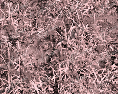 Grassland Pink Camo Sheet