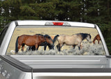 Horses Grazing Rear Window Decal