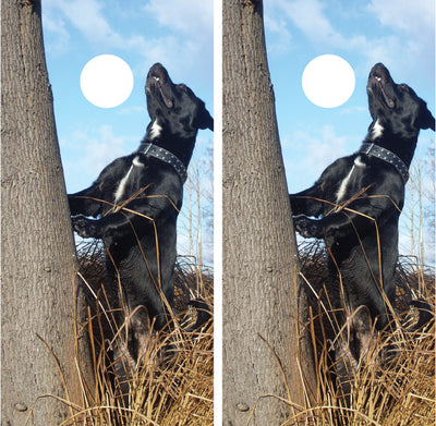 Hunting Dog Cornhole Wraps