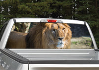 Lion #2 Rear Window Decal