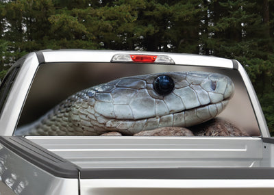 Snake Head Rear Window Decal