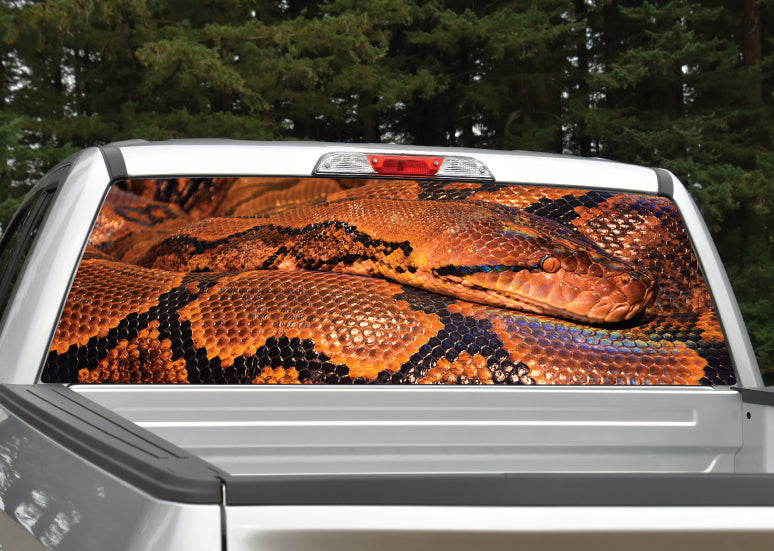Snake Window Display Snake Rear Window Graphic Decal | Mid Atlantic Designs