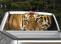 Tiger Eyes Rear Window Decal